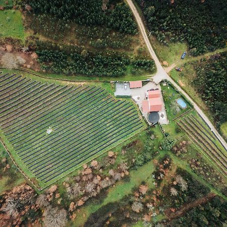 Quinta Vale Salgueiro Appartement Seia Buitenkant foto