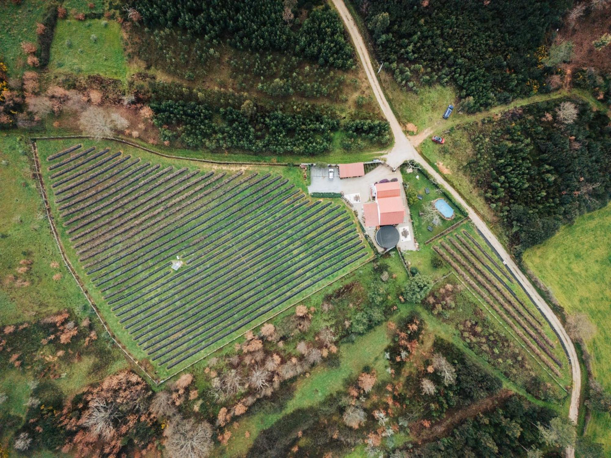 Quinta Vale Salgueiro Appartement Seia Buitenkant foto