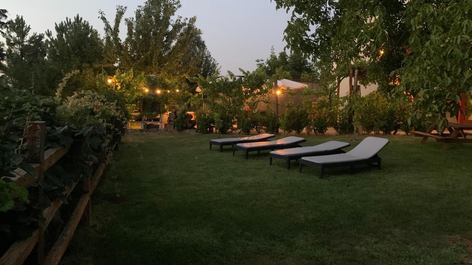 Quinta Vale Salgueiro Appartement Seia Buitenkant foto