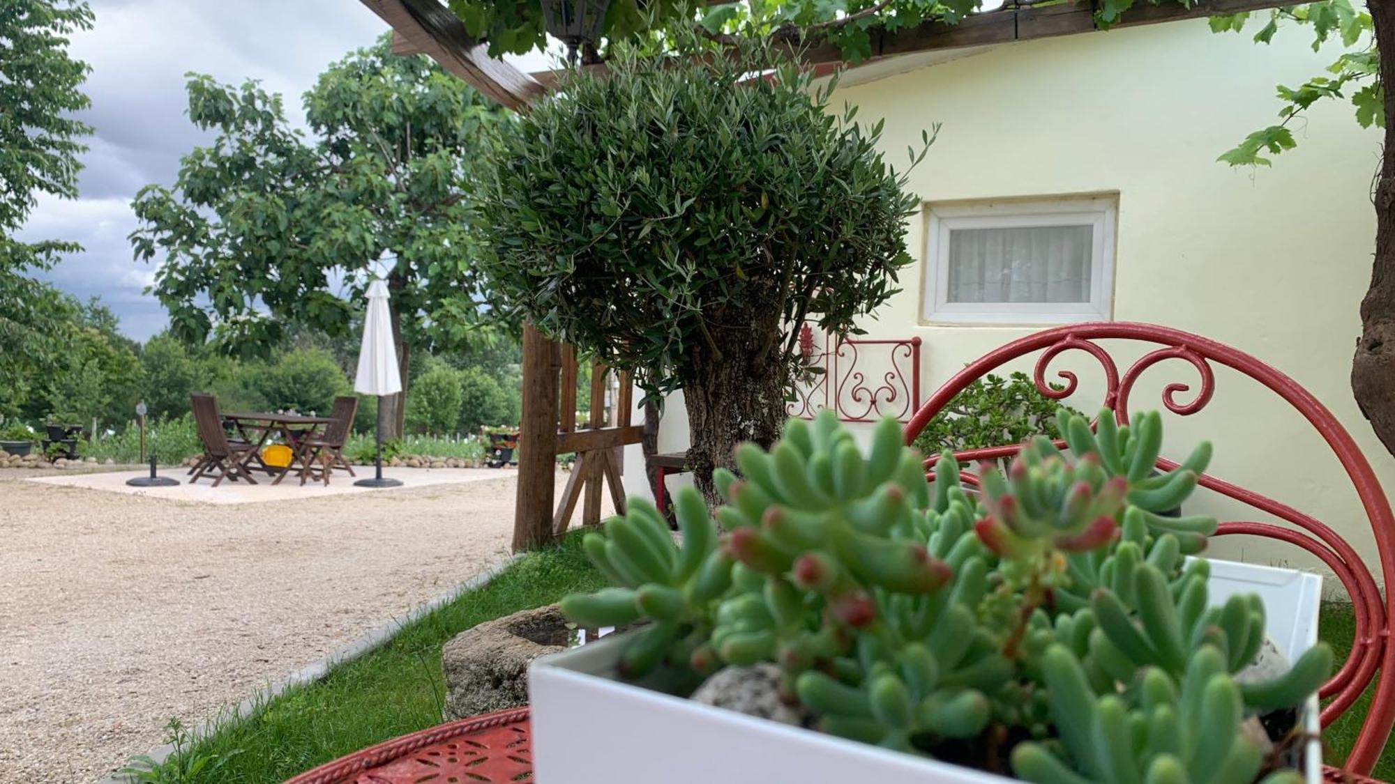 Quinta Vale Salgueiro Appartement Seia Buitenkant foto