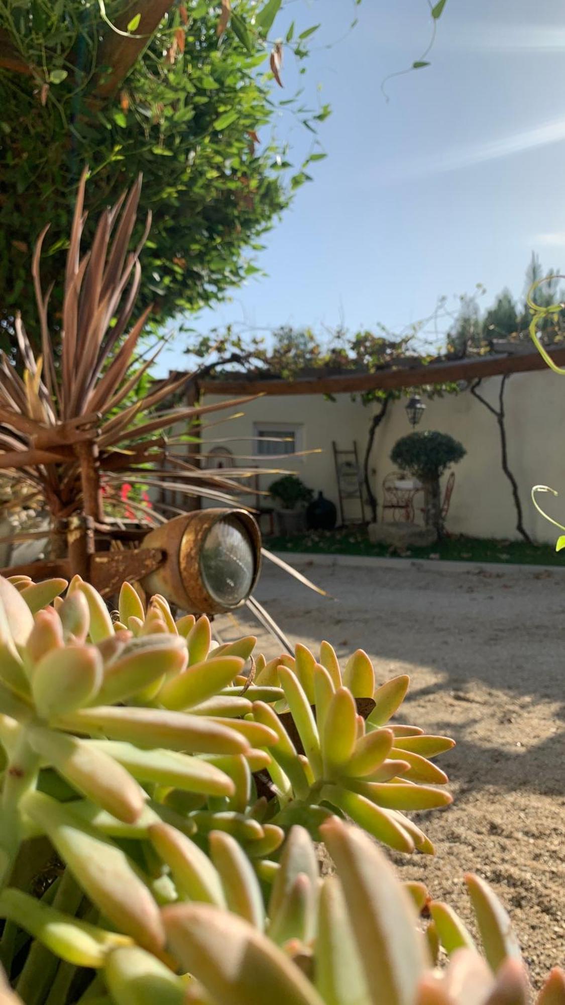 Quinta Vale Salgueiro Appartement Seia Buitenkant foto
